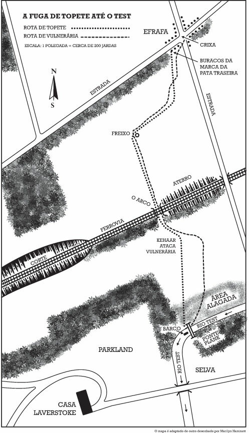 Em-Busca-de-Watership-Down