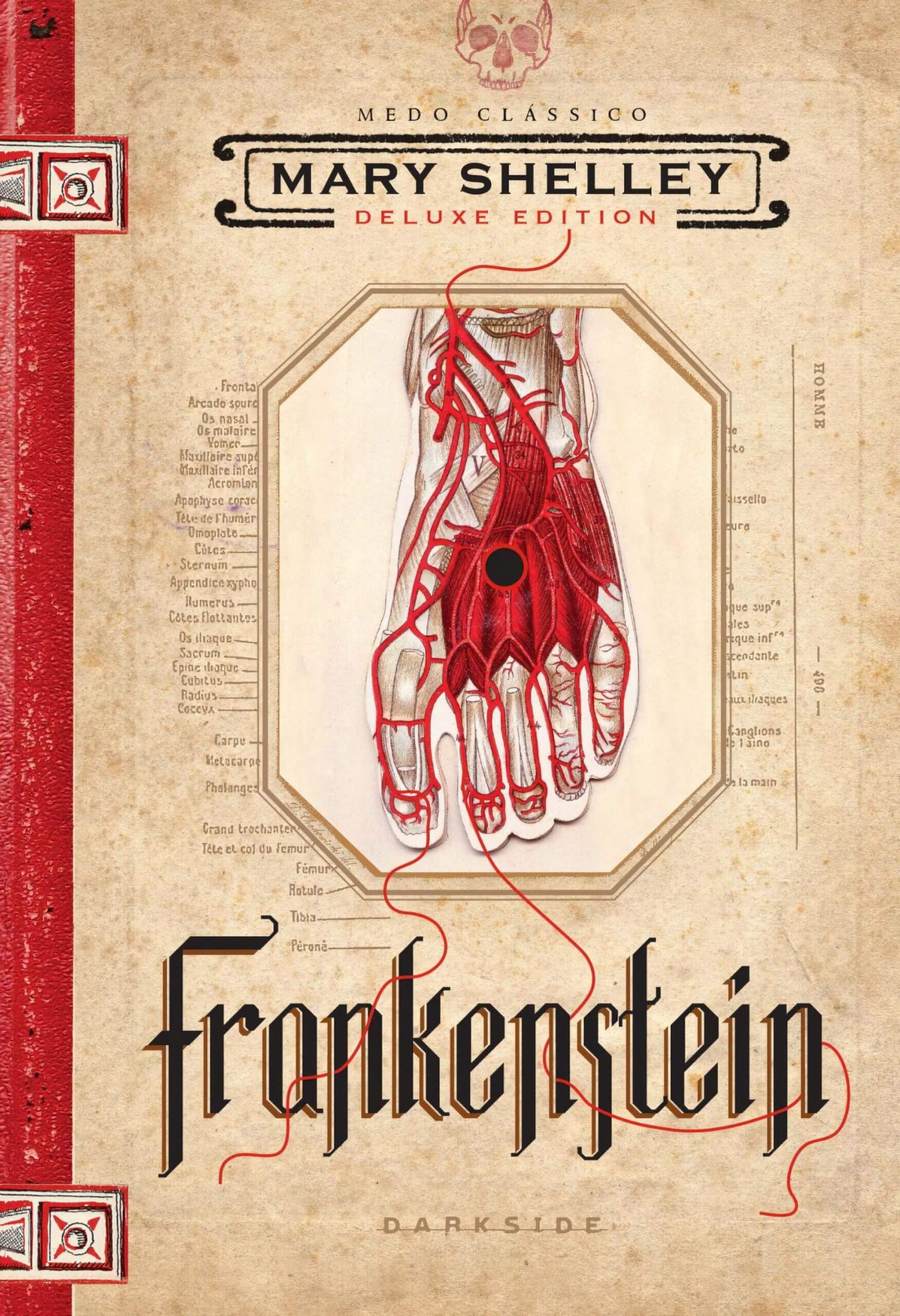 Frankenstein-O-classico-esta-vivo