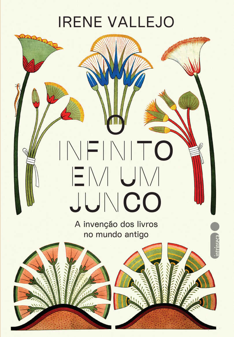 O-infinito-em-um-junco