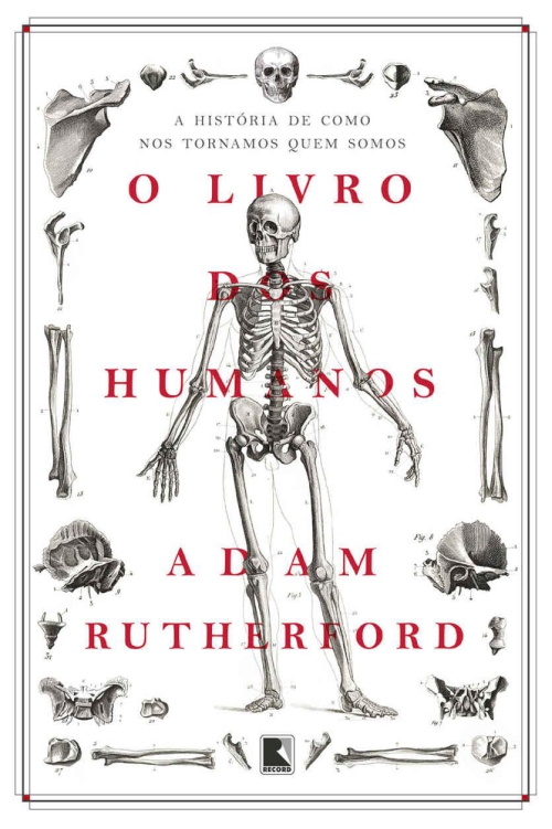 O livro dos humanos